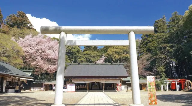 「全国梅酒まつりin水戸2026」梅まつりでにぎわう水戸・常磐神社で開催！お花見と梅酒を楽しむ特別なひとときを。日本全国の梅酒120種以上から飲み比べ。3/13（金）～3/15(日)まで3日間開催。