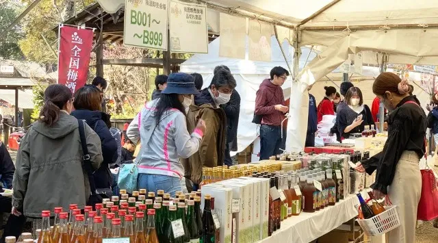 「全国梅酒まつりin水戸2026」梅まつりでにぎわう水戸・常磐神社で開催！お花見と梅酒を楽しむ特別なひとときを。日本全国の梅酒120種以上から飲み比べ。3/13（金）～3/15(日)まで3日間開催。