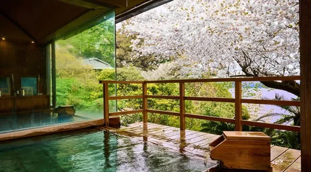 【東伊豆・北川温泉】桜の香りに包まれて整う。自家源泉かけ流しの湯 × 吉祥スパ「桜海コース」株式会社H.P.D.コーポレーション