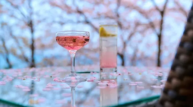 【東伊豆・北川温泉】桜の香りに包まれて整う。自家源泉かけ流しの湯 × 吉祥スパ「桜海コース」株式会社H.P.D.コーポレーション