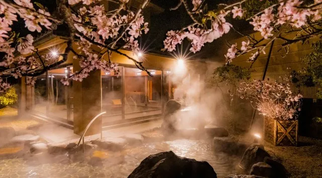 【界 玉造】温泉街に咲く約400本の桜並木を愛でる「桜舞うたまゆら滞在」今年も開催～今年は「夜桜人力車」乗車後に、川沿いの桜並木を独り占めする「夜桜日本酒BAR」が新登場～星野リゾート