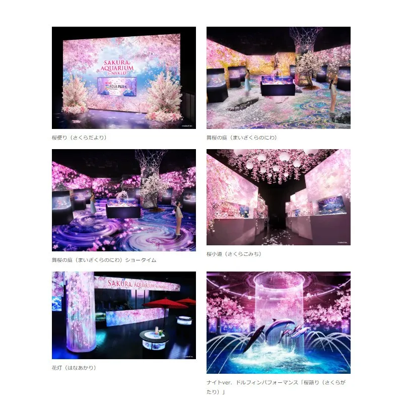 マクセル アクアパーク品川、生きものと楽しむ「幻想的なお花見アート」桜に包まれるフォトジェニックな没入空間へ　―3月4日（水）～ 4月19日（日）まで　株式会社ネイキッド