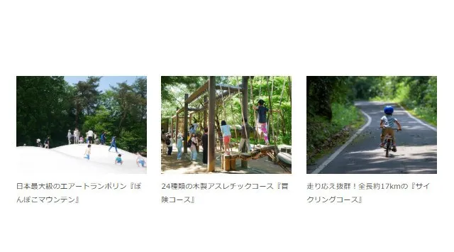 ウメ見頃を迎えました（国営武蔵丘陵森林公園）馥郁(ふくいく)たるウメの香りに春を感じる　一般財団法人 公園財団