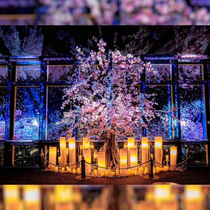 東京タワー 春の夜景が桜色に染まるマッピングショー『TOKYO TOWER CITY LIGHT FANTASIA - Spring Concerto 2026 -』2月28日(土)から開催