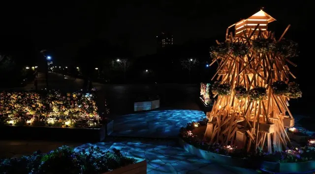 【東京・木場公園】咲き誇る桜と光り輝く立体花壇。高さ3.5m「角材の常夜灯」が誘う早春の花のイルミネーション。地域の園児も花植えに参加、日中も夜も美しい「光と花の17日間」が開始！株式会社日比谷花壇