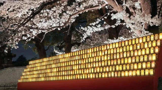 「御殿山さくらまつり2026」3/27（金）～4/5（日）開催 品川駅徒歩10分 徳川家ゆかりのお花見スポットで春を感じよう！森トラスト株式会社