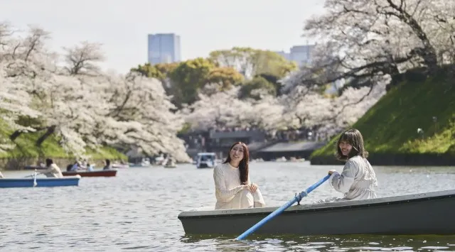 皇居千鳥ヶ淵 夜桜ライトアップ2026開催決定！春の千代田を楽しむ「千代田のさくらまつり」は3/5～4/22　一般社団法人千代田区観光協会