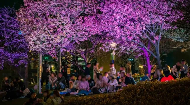 【大阪市】サクラ舞い散る春のひととき、桜色ランタンが夜空を彩るお花見イベント 「扇町桜まつり」開催並びにチケット発売についてお知らせ　株式会社SBI MUSIC CIRCUS