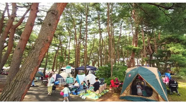 大型音楽フェス「LuckyFes'26」にて今年もアキッパによる公式駐車券・テント券の予約受付が決定〜3月10日(火)12:00より受付開始〜akippa株式会社