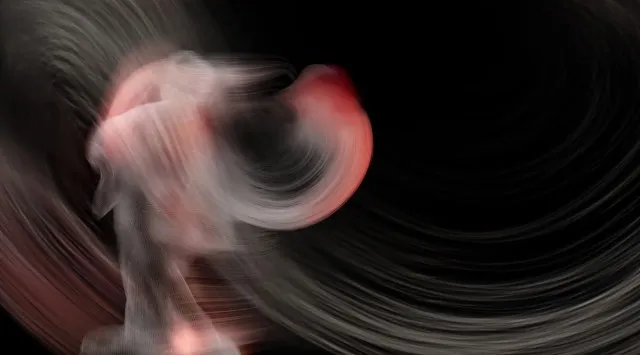 国内最大級のクリエイティブの祭典「TOKYO CREATIVE SALON 2026」赤坂、渋谷、新宿、原宿、六本木エリアの注目コンテンツを一挙公開！東京クリエイティブサロン実行委員会