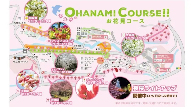 きらめく春、はじまる！5,000本の桜が咲き誇る御殿場高原 時之栖で春を感じるSpring Festival 2026開催！株式会社時之栖