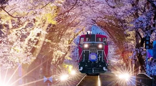 【2026年お花見トレンド】インバウンド混雑を回避！ベルトラ、場所取り不要の「アクティビティ×お花見」厳選ツアーを提案　ベルトラ株式会社