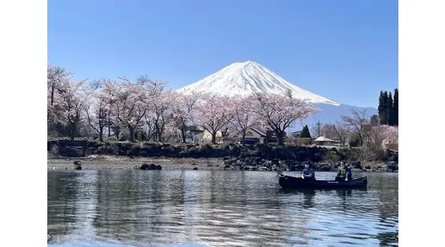 【2026年お花見トレンド】インバウンド混雑を回避！ベルトラ、場所取り不要の「アクティビティ×お花見」厳選ツアーを提案　ベルトラ株式会社