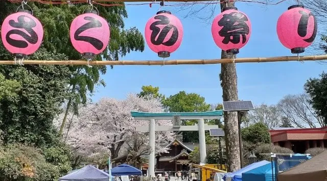 神奈川県一、約6.2km 700本の桜並木「はだの桜みち」と境内の巨大な名物ソメイヨシノ「良縁桜」が満開でお出迎え！出雲大社相模分祠「南はだの村 桜まつり」3月21日(土)より開催 宗教法人出雲大社相