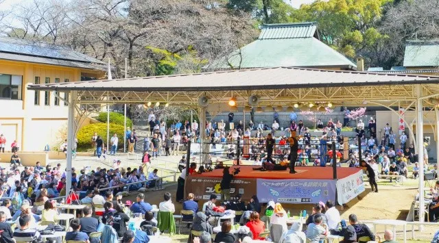 【桜咲く靖國神社】お花見は東京・九段の靖國神社へ。この春は桜咲く靖國神社へ。夜桜詣や奉納行事などこの時期だけの催し物をご紹介　靖國神社