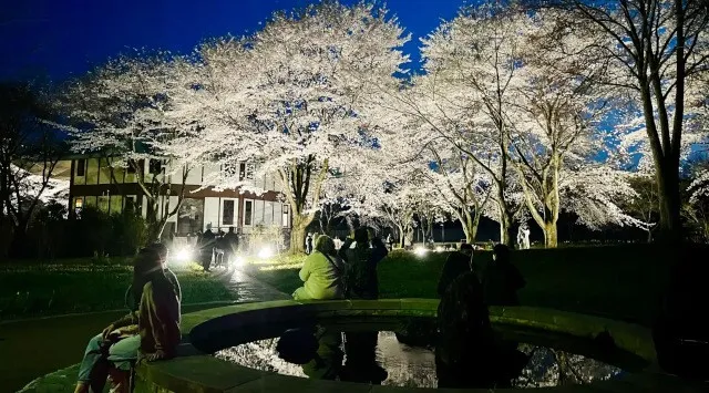 群馬の山間に現れる“現代の桃源郷”。1,000本の花桃が丘をピンクに染め上げる「花桃の丘まつり」開催　中之条ガーデンズ