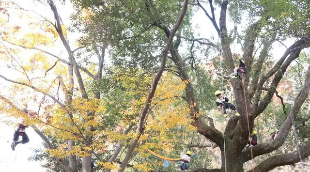 千里中央公園で新しい野外体験を。 URBAN RESEARCH presents TINY GARDEN MARCHE at Senrichuo Park　（株）アーバンリサーチ