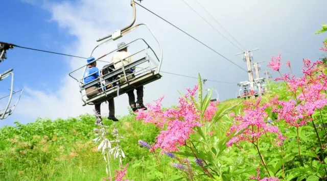 北アルプスをバックに標高1,400m、雲上の特等席で音楽と絶景に浸る2日間　「Hakuba Mountain Festival2026」開催決定!唯一無二のロケーション！日本スキー場開発株式会社