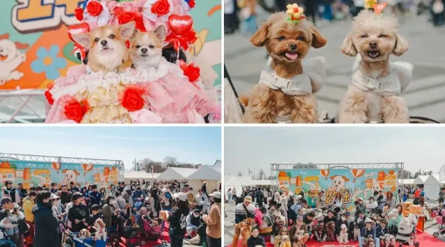 「クリエイターズフリマ！2」デカキンら新たに19組の出店が決定！「わんちゃんステッカー販売」の情報も公開　UUUM株式会社