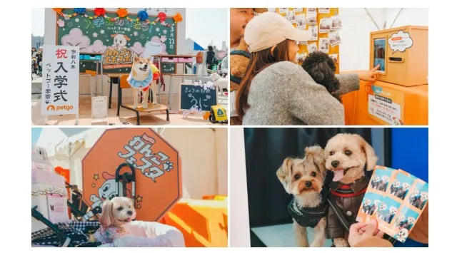 約180店舗の出店が決定！国内最大級のドッグフェス「ジャパンわんこフェスタ2026 in お台場」にて3イベント同時開催！株式会社FLAFFY

