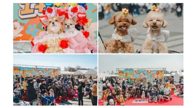 約180店舗の出店が決定！国内最大級のドッグフェス「ジャパンわんこフェスタ2026 in お台場」にて3イベント同時開催！株式会社FLAFFY

