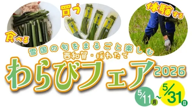 「西和賀・採れたてわらびフェア 2026」開催（5/11〜5/31）〜食べる・買う・体験する、雪国の旬をまるごと楽しむ３週間〜 西和賀町