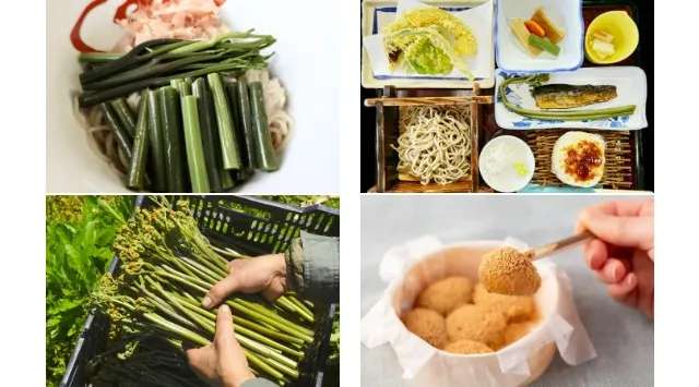 「西和賀・採れたてわらびフェア 2026」開催（5/11〜5/31）〜食べる・買う・体験する、雪国の旬をまるごと楽しむ３週間〜 西和賀町