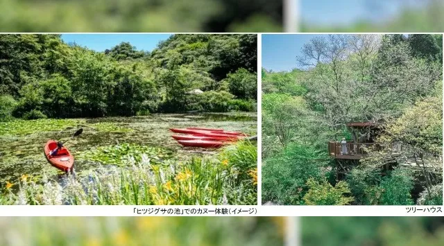 ROKKO森の音ミュージアム 神戸市街地より-5度の避暑地体験 「ROKKO山涼みフェス2026」開催 2026年7月18日（土）～20日（月・祝）阪神電気鉄道株式会社

