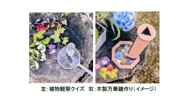 ROKKO森の音ミュージアム 神戸市街地より-5度の避暑地体験 「ROKKO山涼みフェス2026」開催 2026年7月18日（土）～20日（月・祝）阪神電気鉄道株式会社

