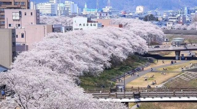【福井県福井市】街全体が一つのテーマパークになる音楽フェス「ONE PARK FESTIVAL 2026」開催（9月5日・6日）ガバメントクラウドファンディング受付中（8月25日17時59分まで）