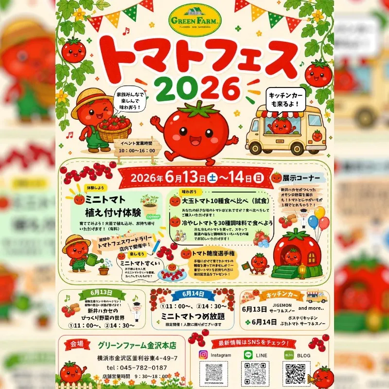 これ、本当にトマト！？話題の「ポマト（ジャガトマ）」が横浜に登場。横浜グリーンファームで見て・食べて・体験する「トマトフェス2026」開催！株式会社グリーンファーム