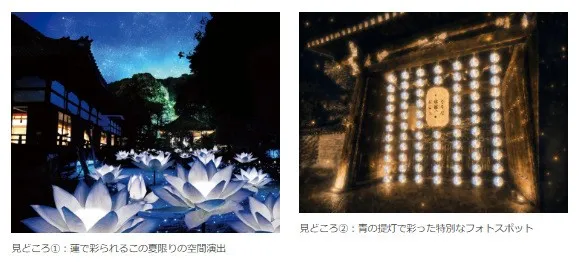 「そうだ 京都、行こう。Presents 青蓮華の夏灯り－青蓮院門跡－」の見どころ・KVも公開！「そうだ 京都、行こう。」キャンペーン緑の彩り編から京都を涼やかに楽しむ特別企画や現地体験が続々登場