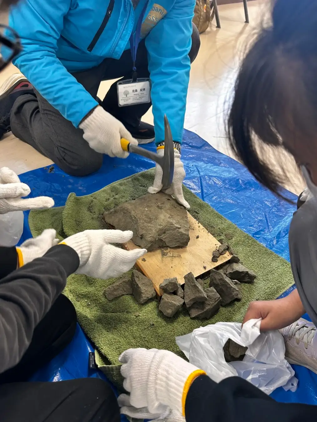weほーるに恐竜がやってくる？！「みんなの夏フェス～ダイナソー・weワールド～」いちはら子ども未来館（weほーる）市原市

