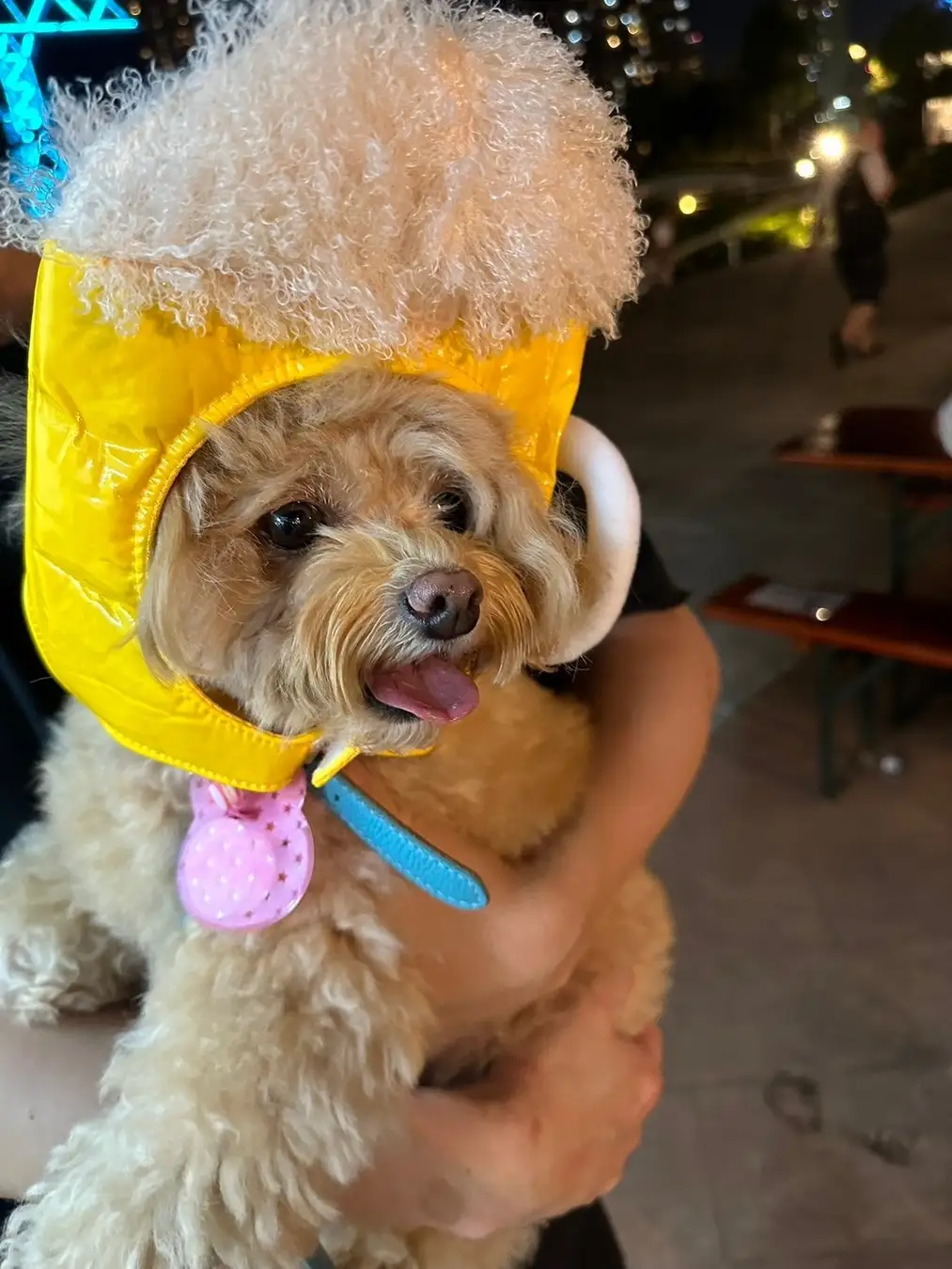 愛犬と、家族と、海辺で乾杯。「オクトーバーフェスト2026 in アーバンドック ららぽーと豊洲」9月18日（金）開幕～わんちゃん用ソーセージ・被り物・フォトスポットが登場。株式会社ビー・エフ・シー