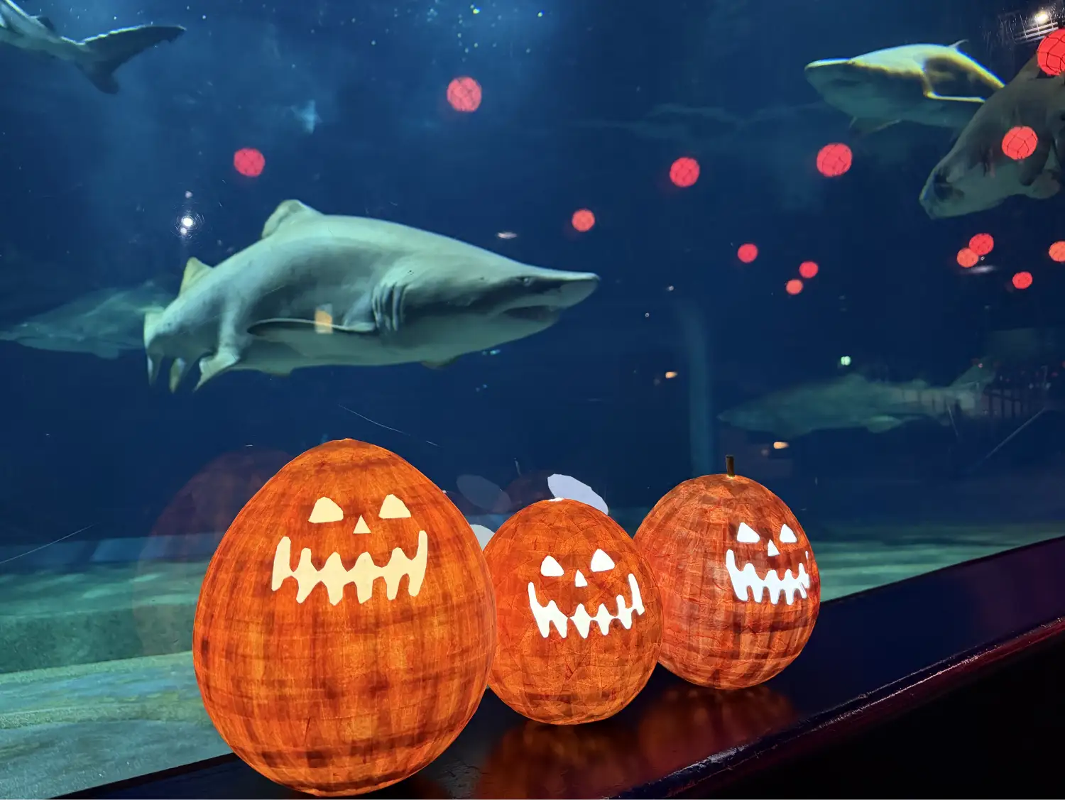 アクアワールド・大洗で生きものたちと一緒にドキドキワクワクのハロウィンを満喫しようハロウィンアクアワールド2026 2026年10月1日(木)～10月31日(土) 開催 アクアワールド茨城県大洗水族館