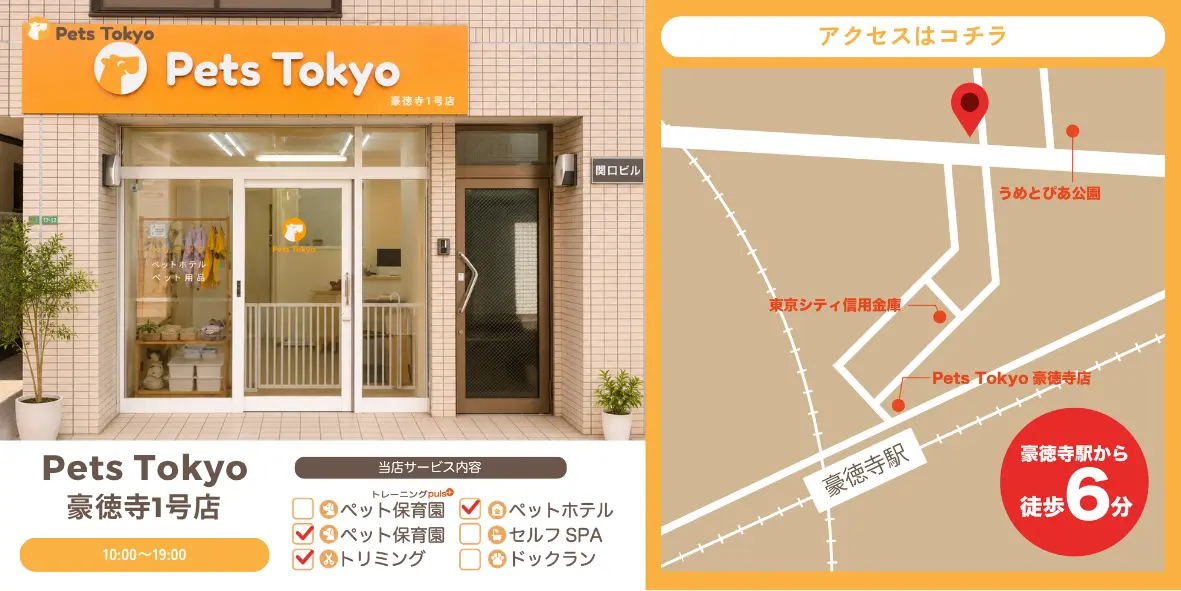 【Pets Tokyo豪徳寺1号店】Trick or Treat おやつ詰め放題を開催します！＼ 制限時間は30秒 ／オリジナルおやつをお箸で詰め放題　Lehman Hodings