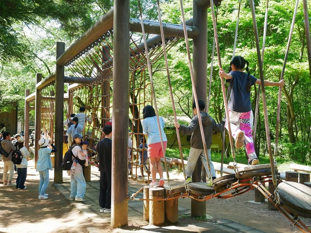 約55万球のイルミネーション「森のハロウィンナイト」開催（国営武蔵丘陵森林公園）都会とはひと味ちがう輝き。夜の森が魔法に包まれます。一般財団法人 公園財団　Parks Japan.F