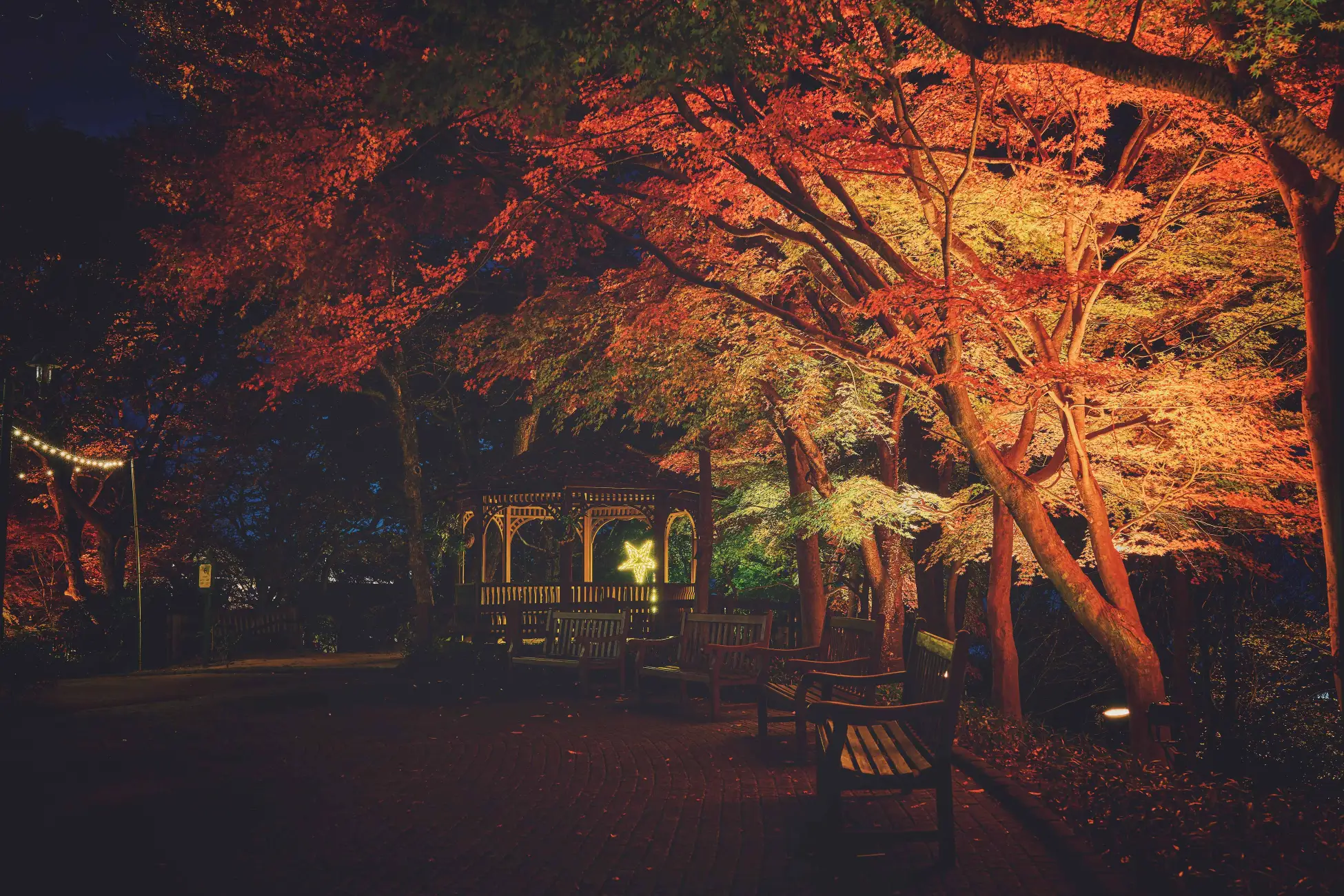 【誕生月ならお子様全員無料、大人も半額!?】ツリーハウスのバースデー企画を開始！｜TREE HOTEL NIKKA 菰野　ニッカホーム株式会社

