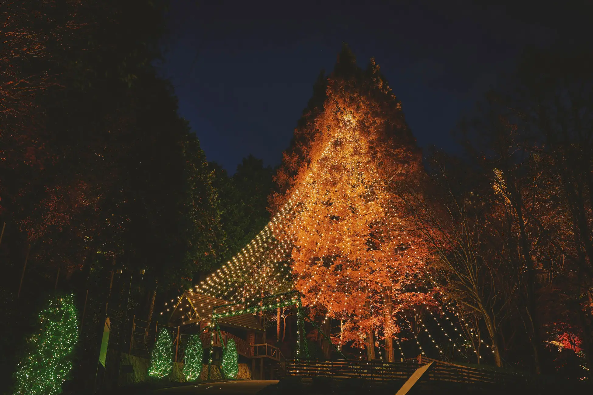 【誕生月ならお子様全員無料、大人も半額!?】ツリーハウスのバースデー企画を開始！｜TREE HOTEL NIKKA 菰野　ニッカホーム株式会社

