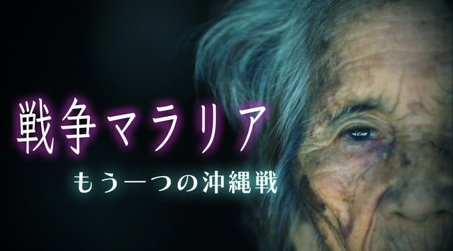 真珠湾・ゼロ戦・硫黄島…ドキュメンタリー７作品をYouTube配信 戦争体験者の貴重な証言を後世に…株式会社テレビ朝日