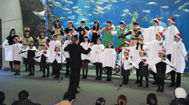 鴨川シーワールド　2021クリスマスイベント 12月の土曜日とクリスマスイブは延長営業＆クリスマスを祝う「シャチスペシャルパフォーマンス」を開催
