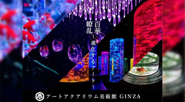 アートアクアリウム美術館 GINZAオープン記念！お得な「早割チケット」を期間限定で販売開始 アートアクアリウム製作委員会