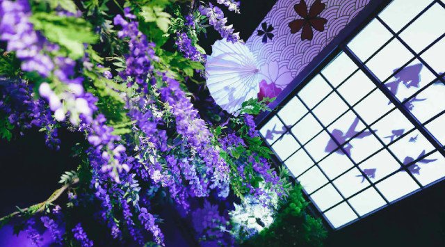 奈良県に紫色の高貴な花と金魚が織り成す 新たな藤の名所が誕生！藤の花400本が装飾された「藤波と金魚 －2022－」が期間限定で開催 株式会社UWS ENTERTAINMENT