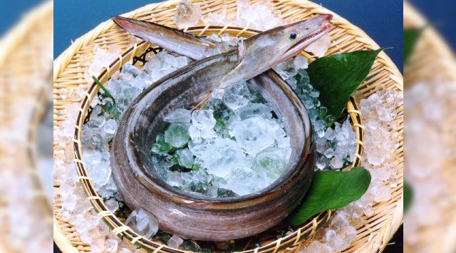これを食べなきゃ夏じゃない！！関西の夏の風物詩「鱧（はも）」、淡路島のブランド食材“べっぴん鱧”を思う存分フルコースで。休暇村南淡路、『淡路島　はも三昧』５月２１日より提供 休暇村