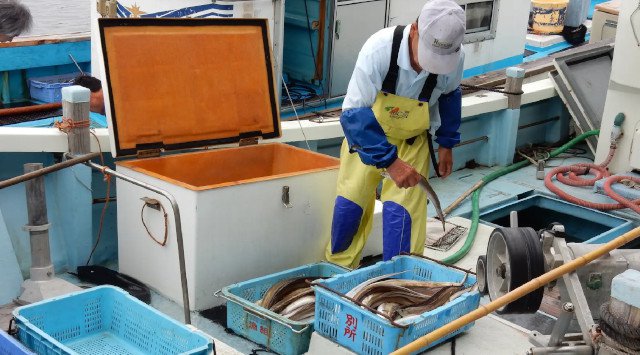 これを食べなきゃ夏じゃない！！関西の夏の風物詩「鱧（はも）」、淡路島のブランド食材“べっぴん鱧”を思う存分フルコースで。休暇村南淡路、『淡路島　はも三昧』５月２１日より提供 休暇村