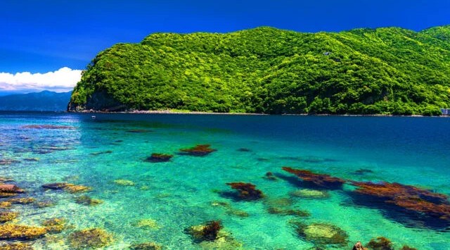 伊豆半島の観光情報を集めたポータルサイト「伊豆半島観光情報」がリニューアル！株式会社サイトプラス