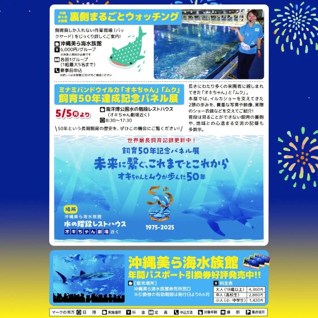 【海洋博公園】「美ら海通信６月号」発行！～美ら海花火大会・オキちゃん飼育50年達成記念パネル展・ゆるふわイラストレーター「みいるか」さん特別イベントなど～　一般財団法人　沖縄美ら島財団