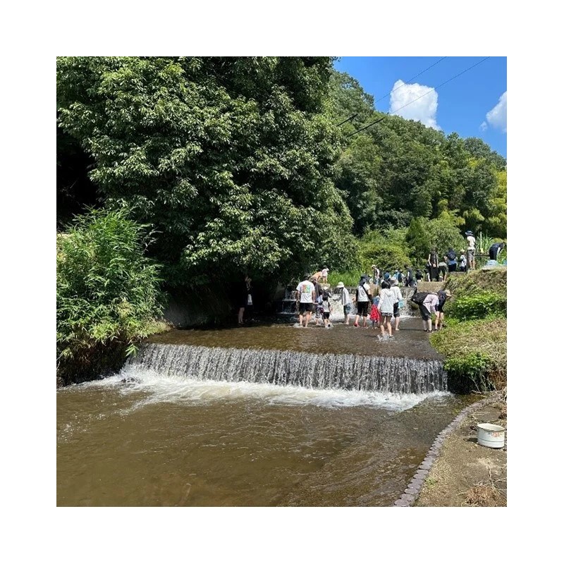 【奈良市】奈良さとやまSUMMERキャンペーン2025「夏休みの宿題大作戦！」7月19日から8月31日まで開催 昨年度から体験メニューが1.5倍に増加！